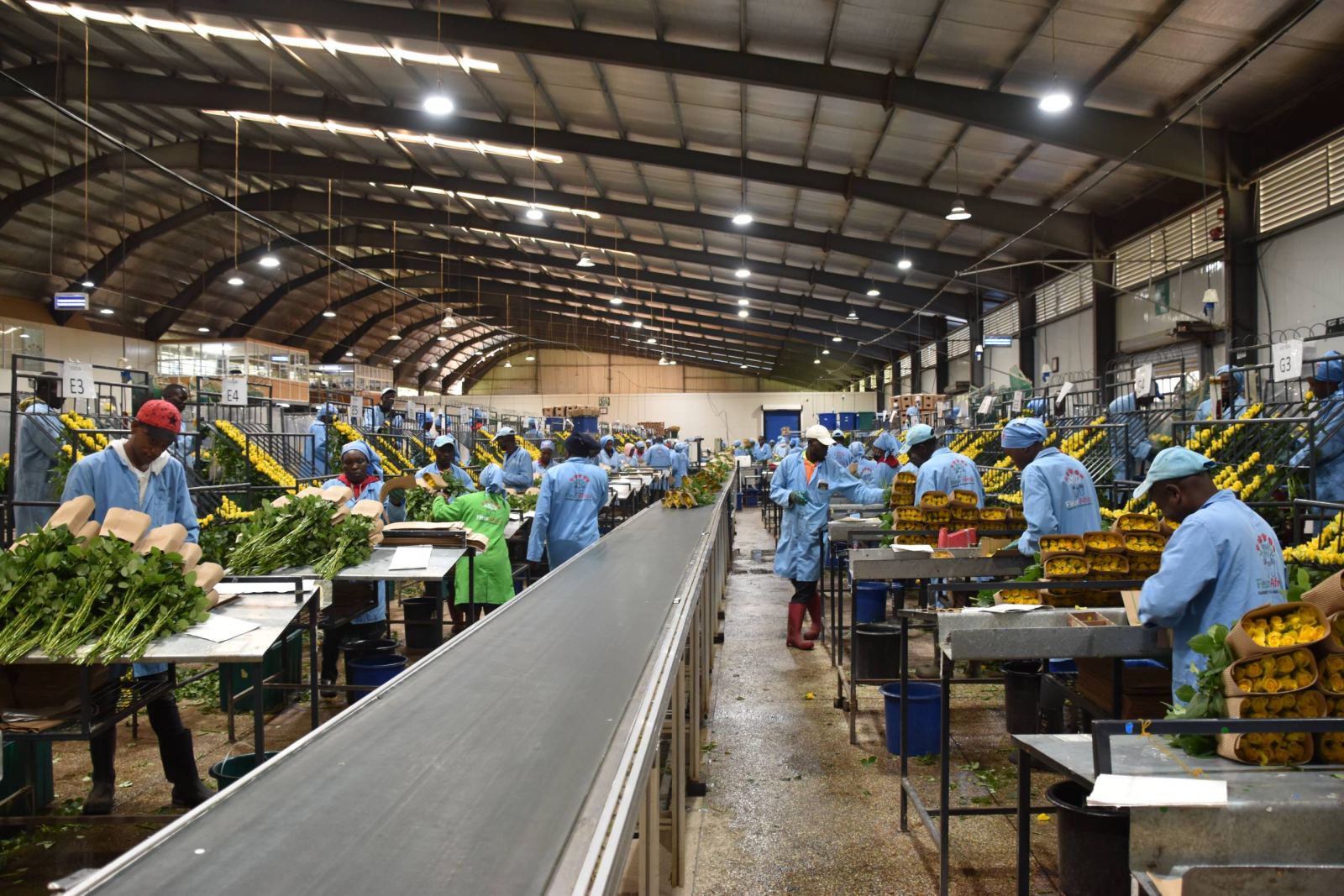 Fleur Africa factory floor
