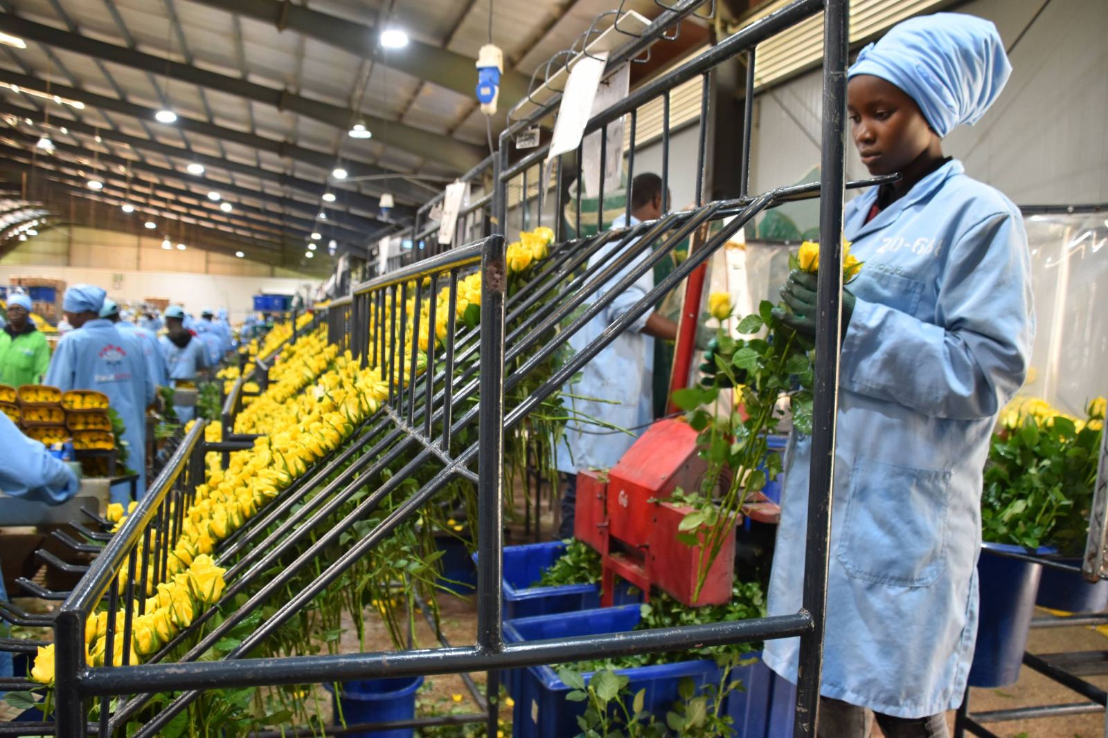 Fleur Africa worker